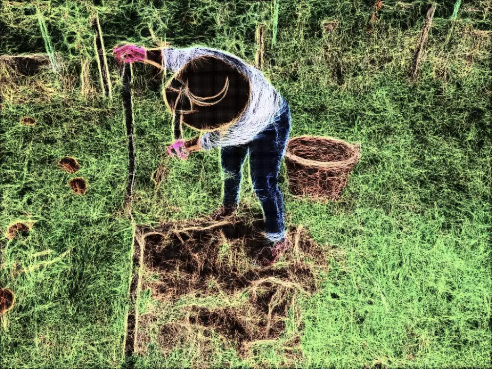 Foto zur Geschichte, mit Leuchtkonturen verfremdet