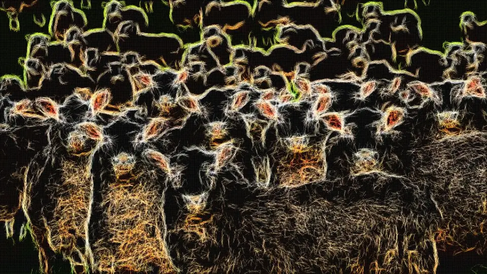 Foto zur Geschichte, mit Leuchtkonturen verfremdet